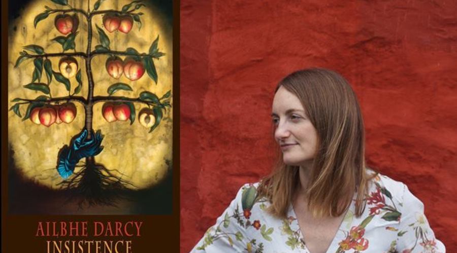 Ailbhe Darcy: Insistence